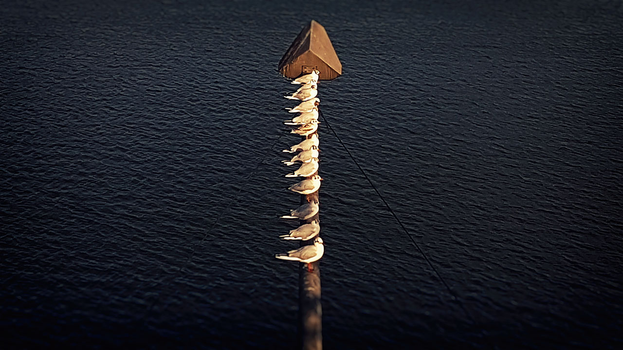 20160803_185453.jpg