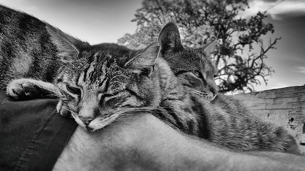 20160808_184739_small.jpg