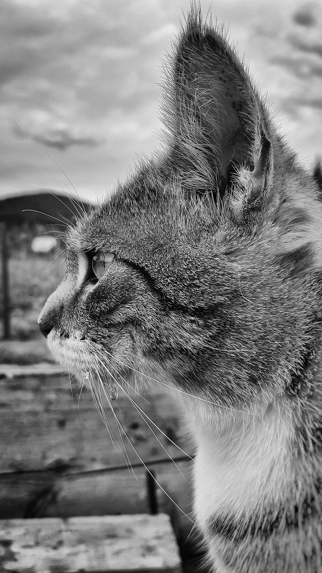 20160811_173210.jpg