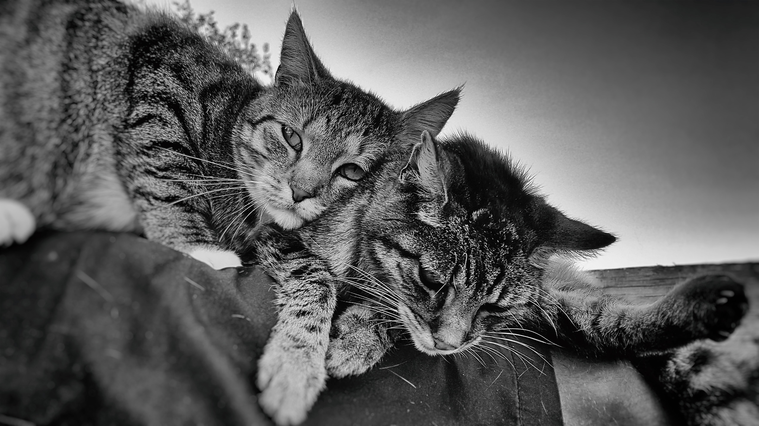20160816_194545.jpg