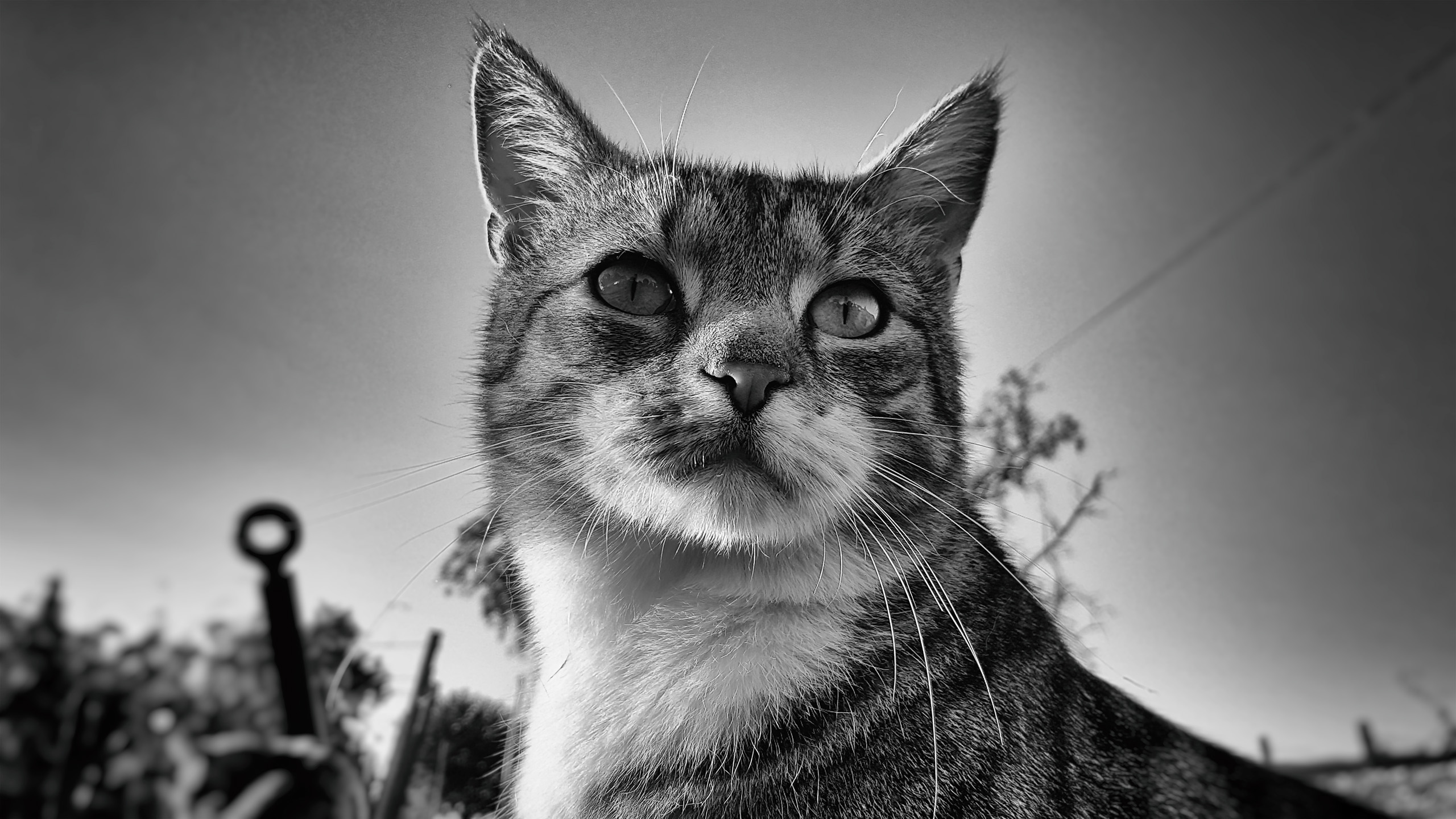 20160816_195305.jpg