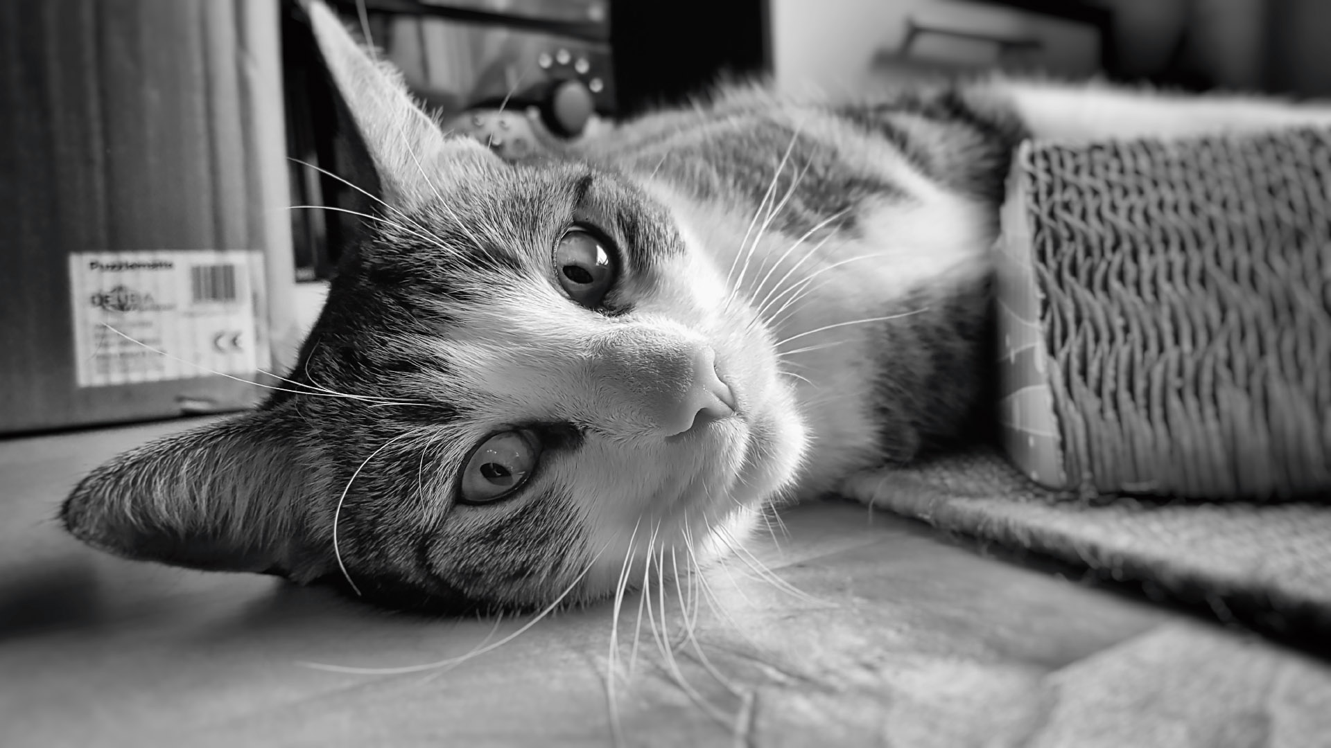 20160820_185704.jpg