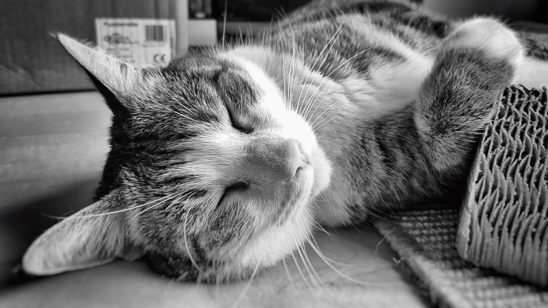 20160820_190214.jpg