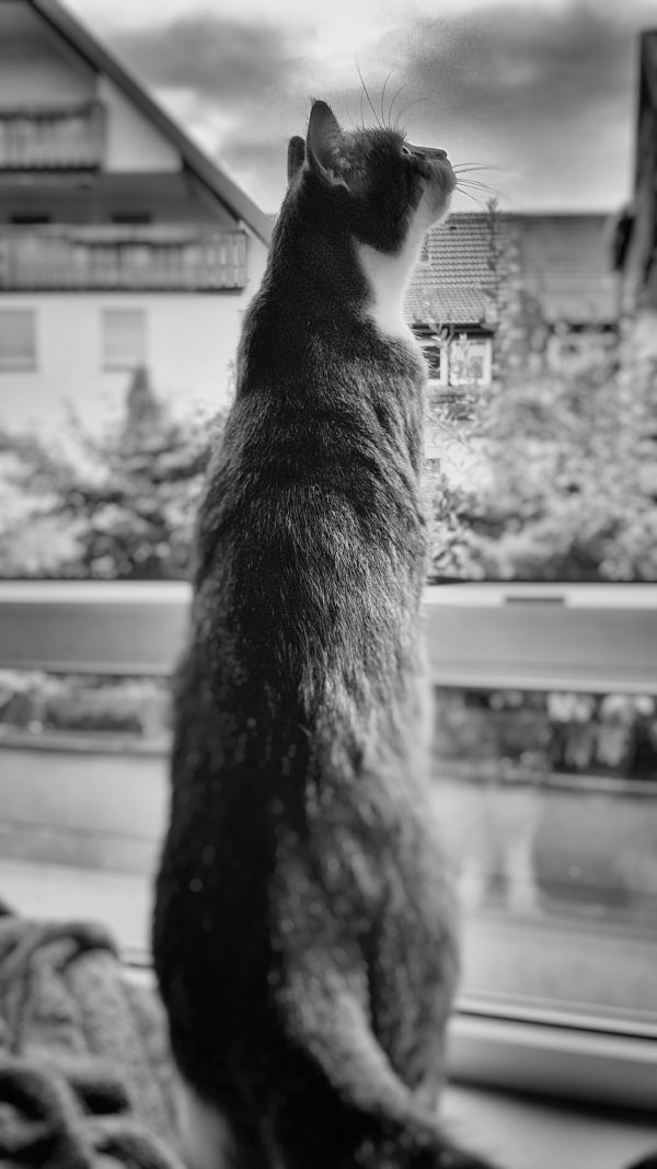 20160820_192056.jpg