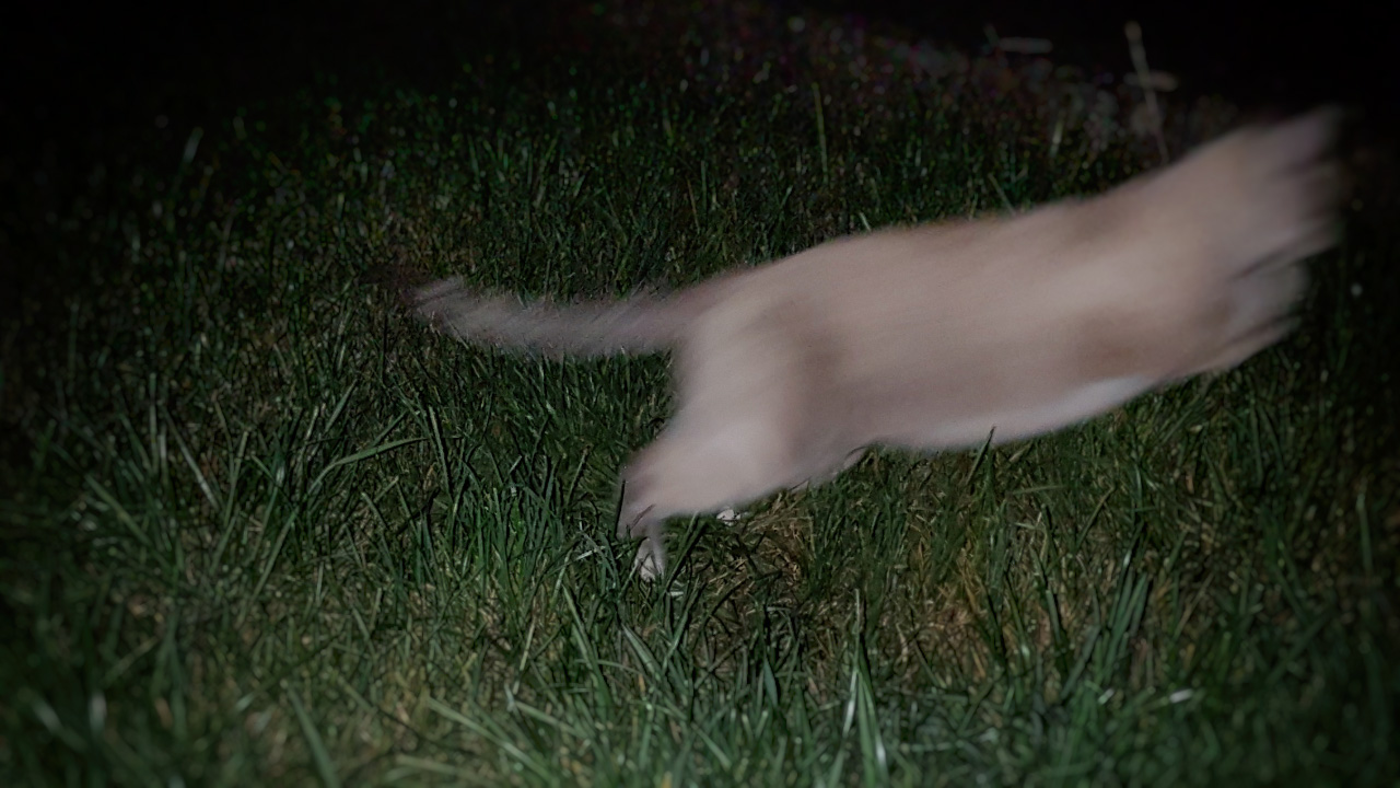 20160823_212311.jpg