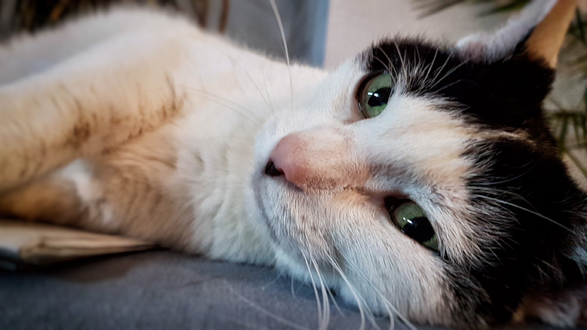 20160828_135227.jpg