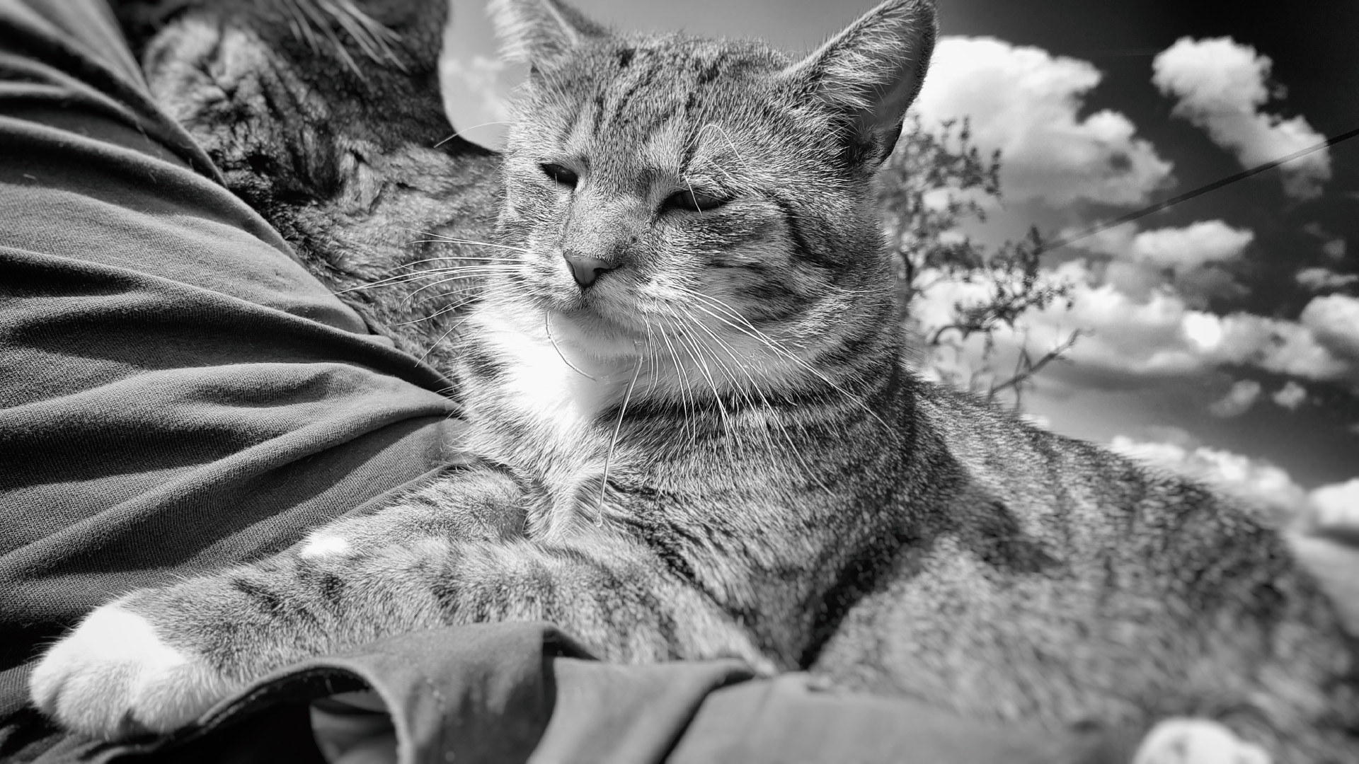 20160829_151358.jpg
