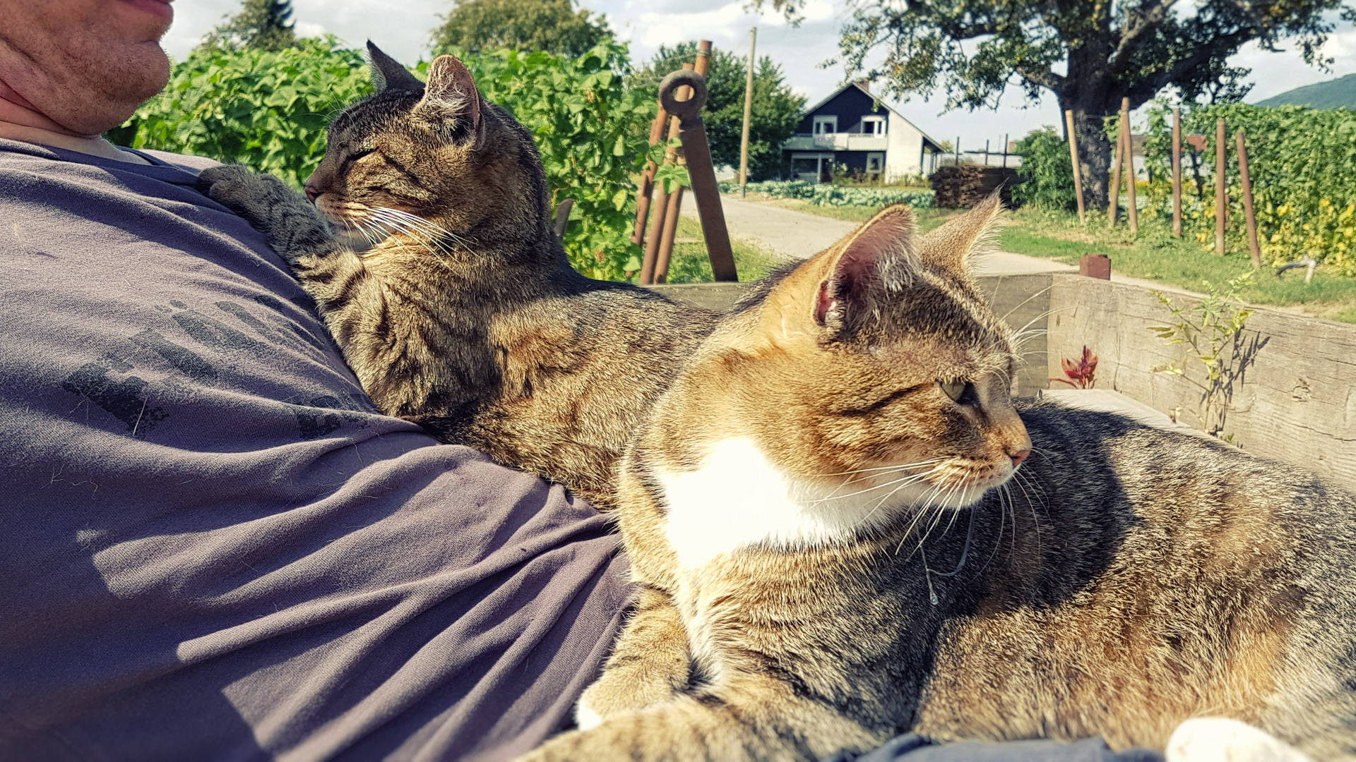 20160829_151420.jpg