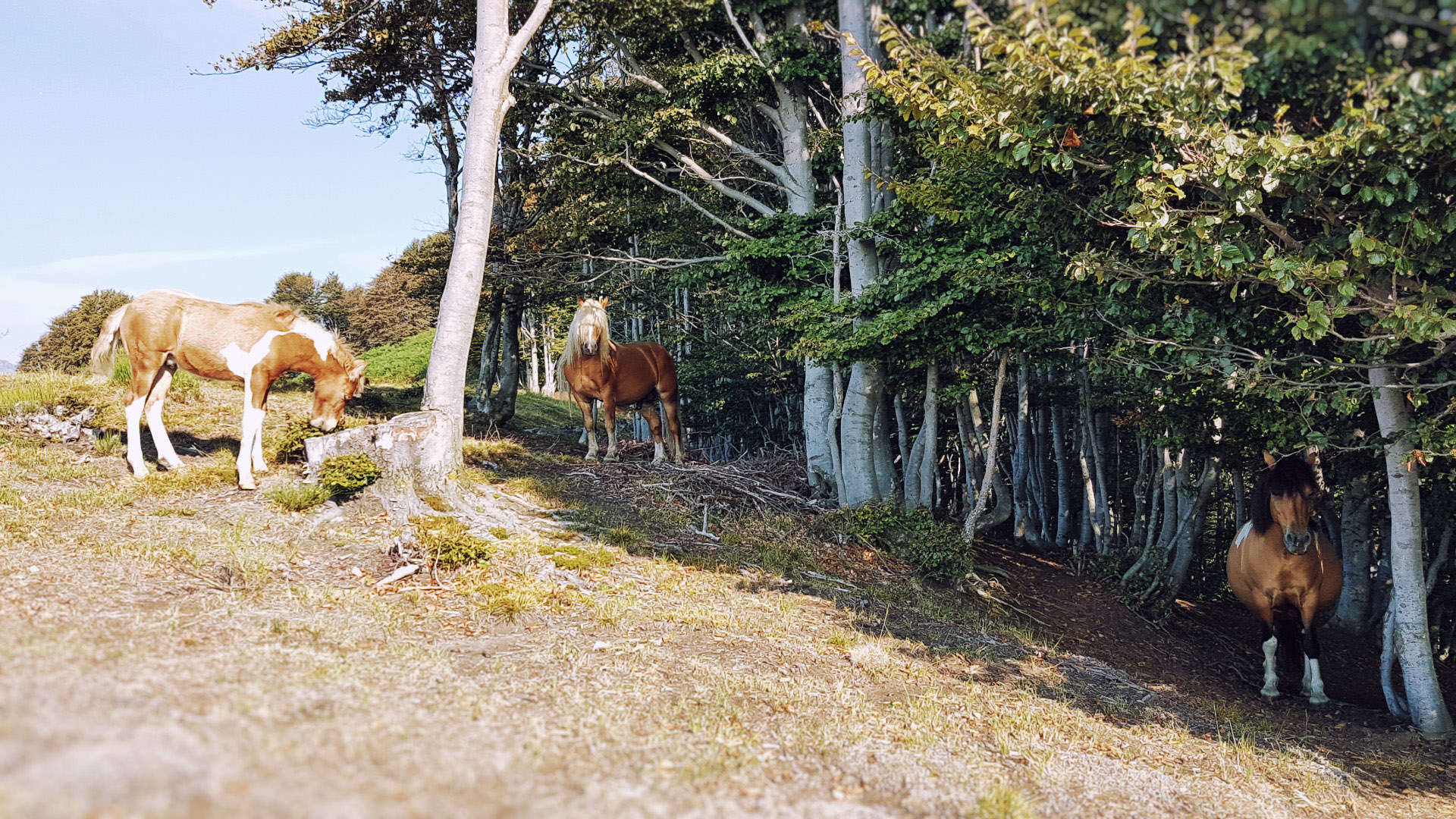 20160910_093711.jpg
