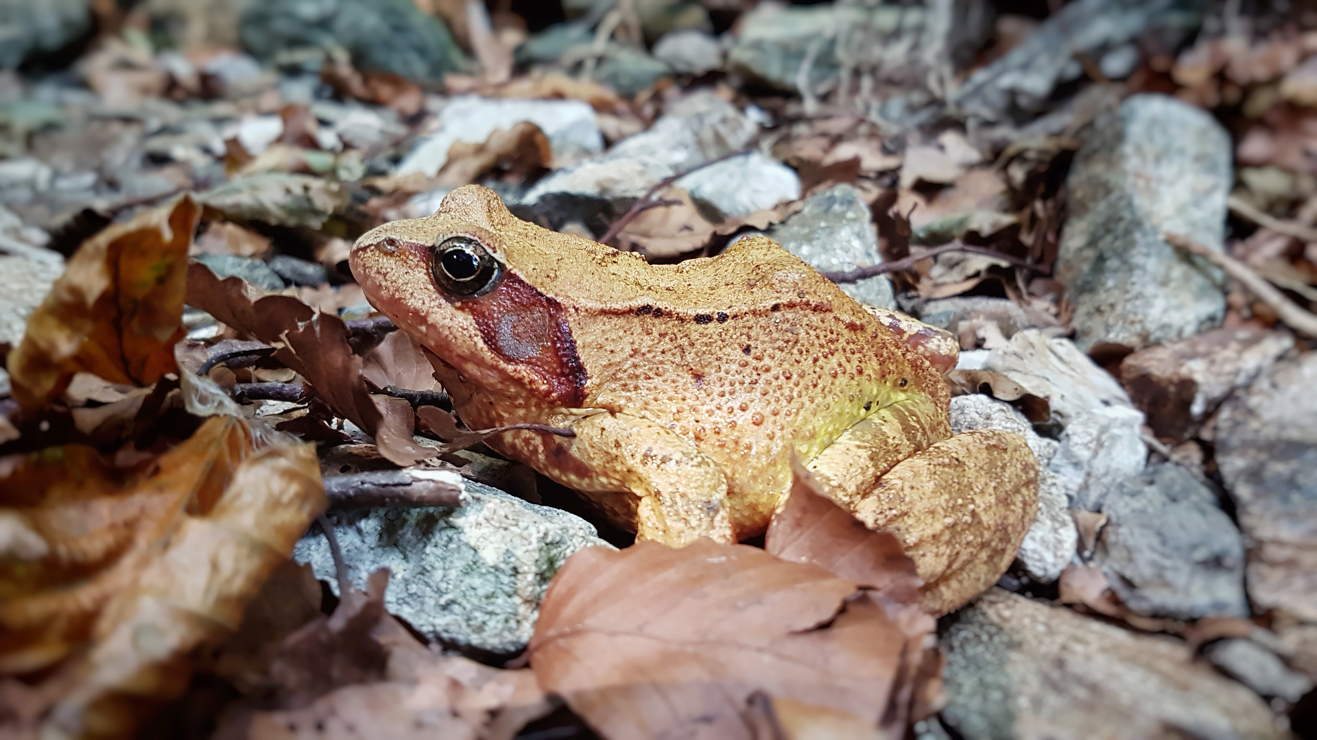 20160910_104649.jpg