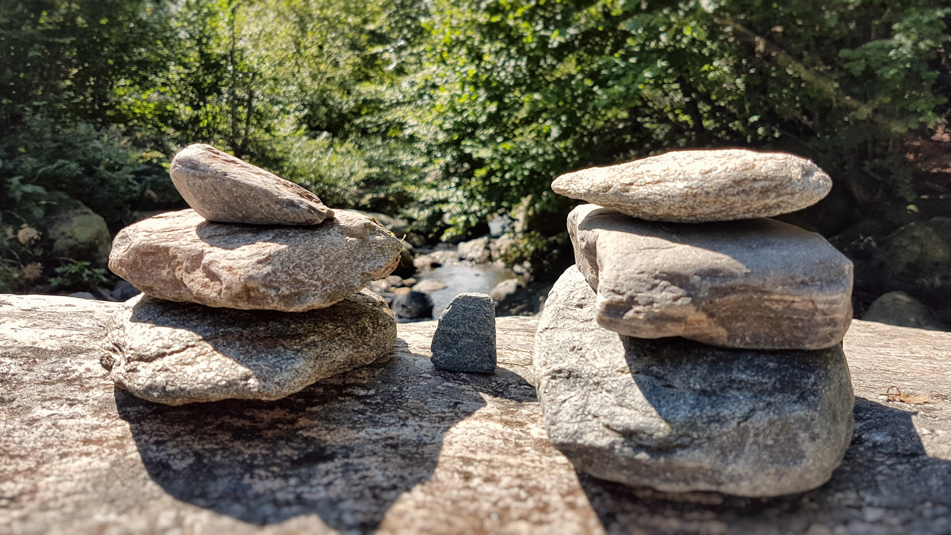 20160911_130105.jpg