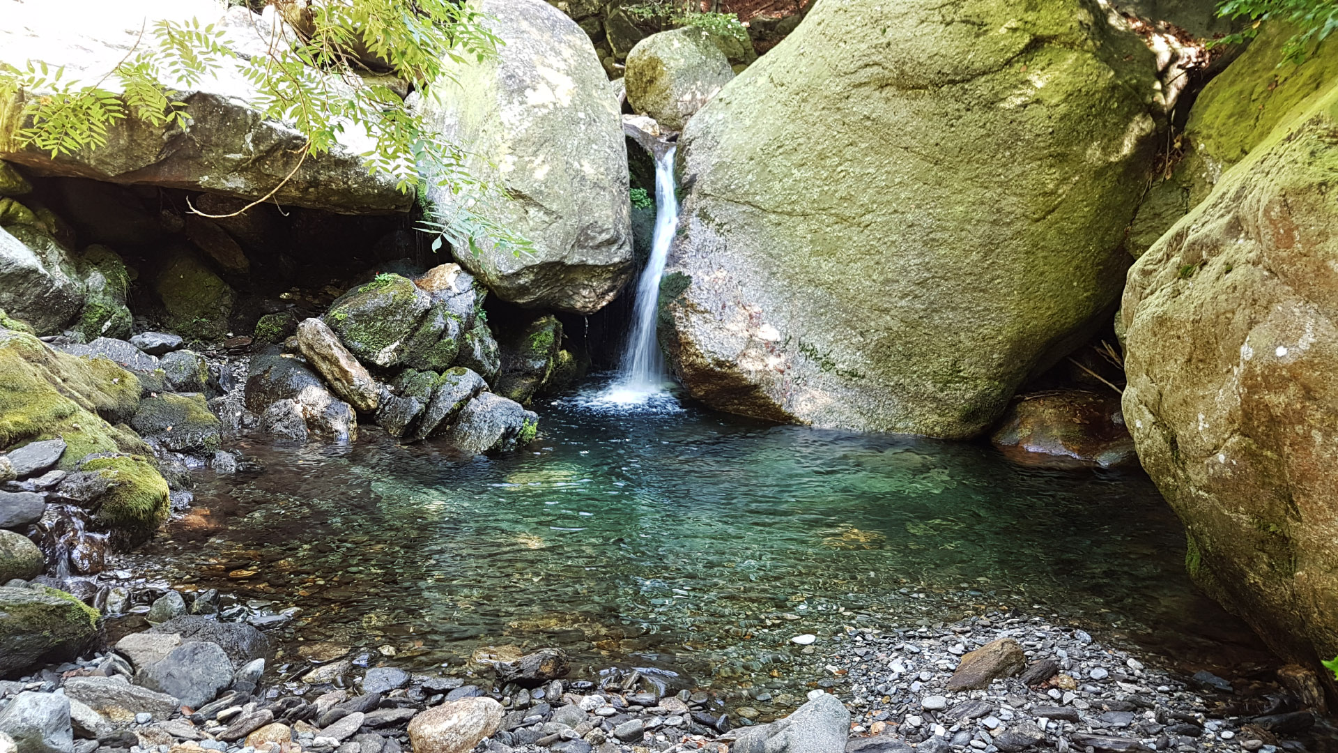 20160911_131924.jpg