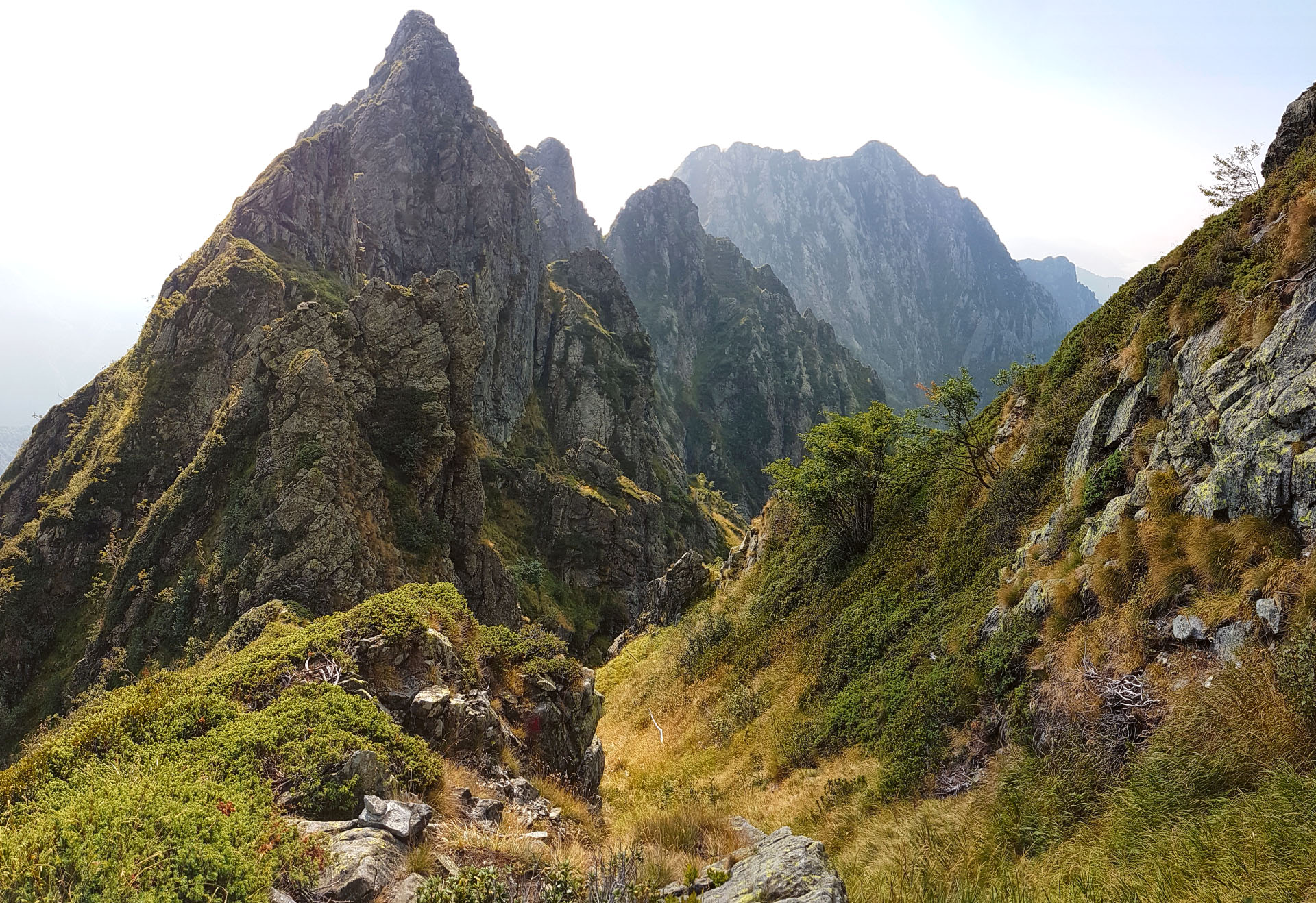 20160913_104238.jpg