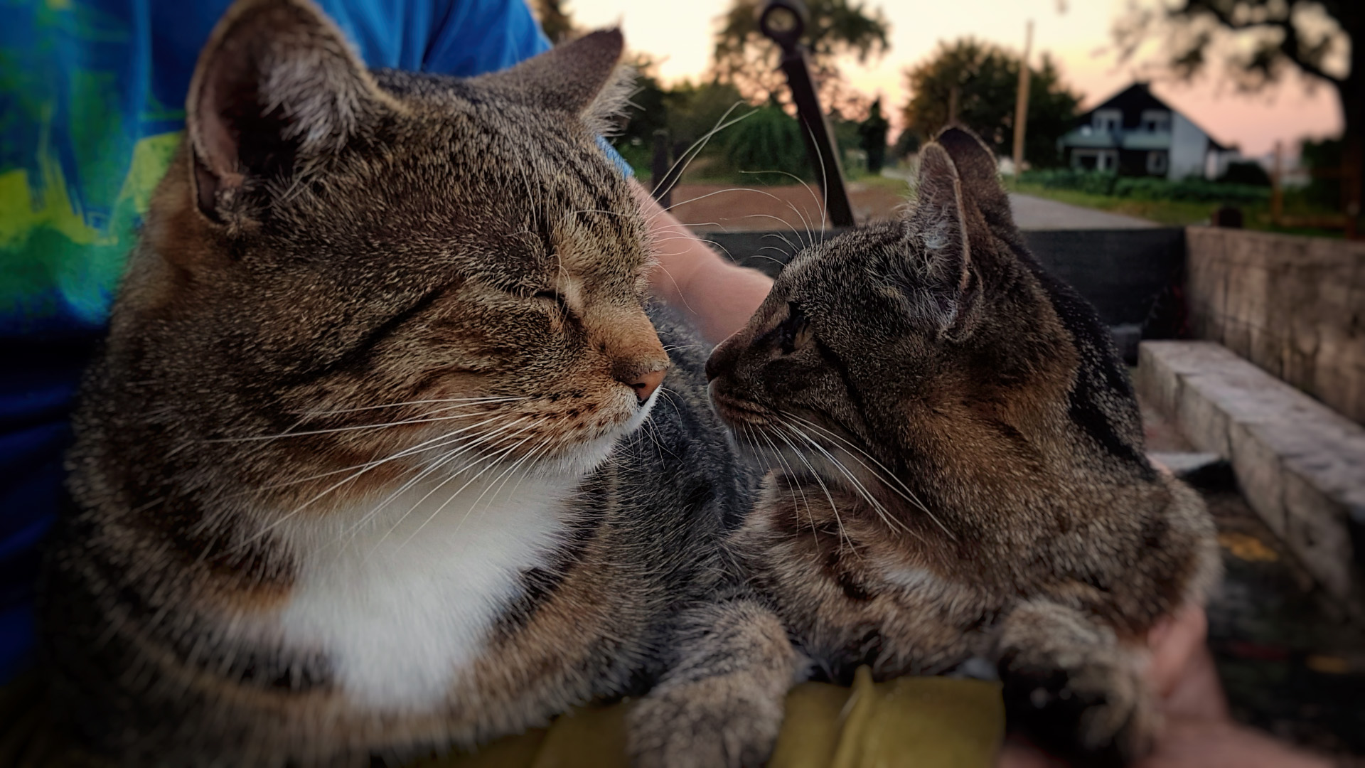 20160924_190918.jpg