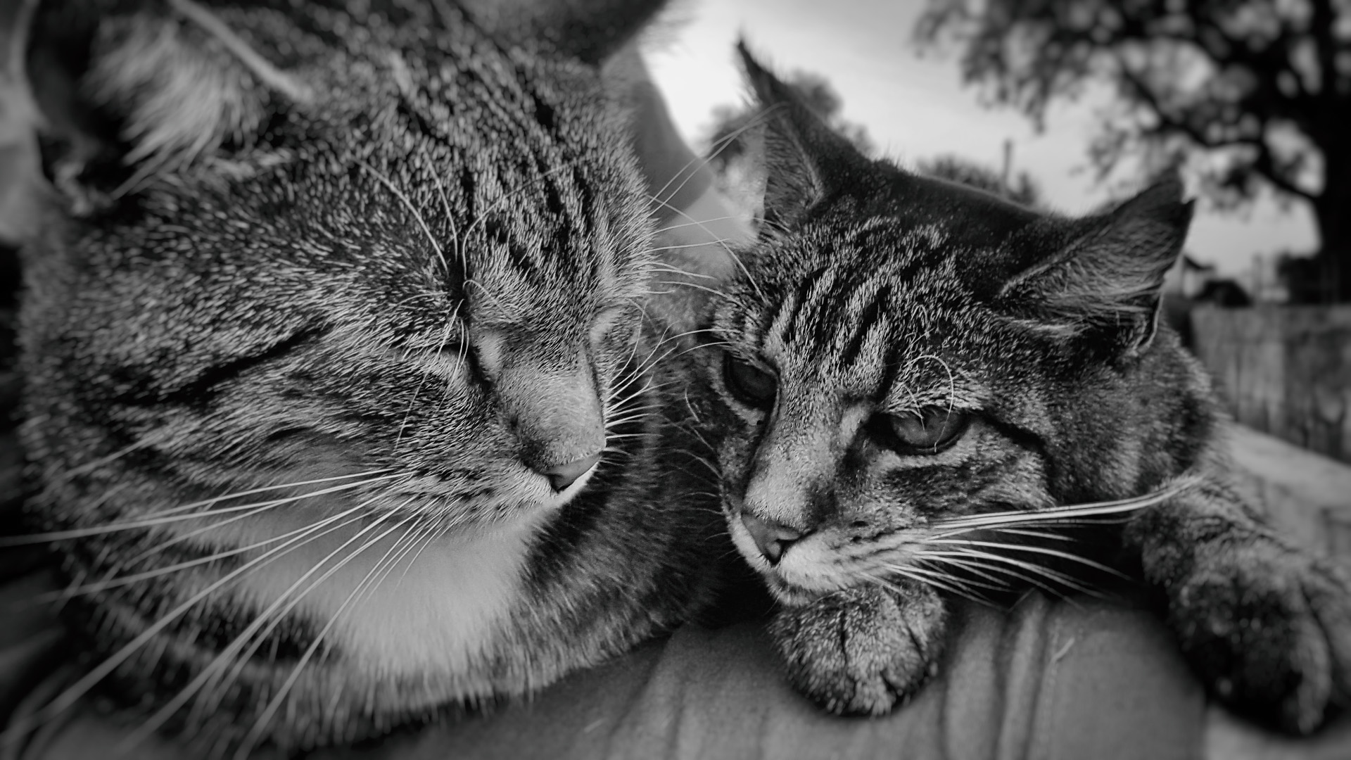 20160924_190959.jpg