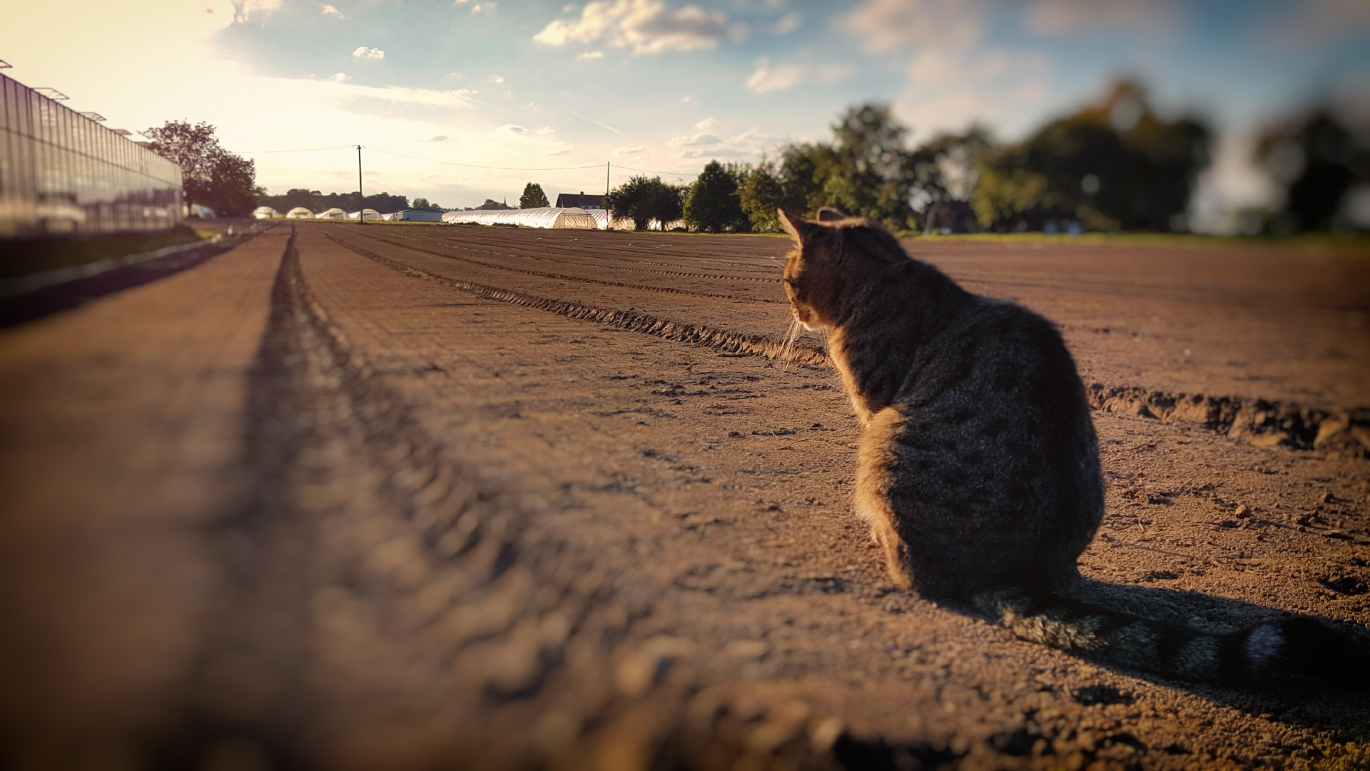 20161013_172253.jpg