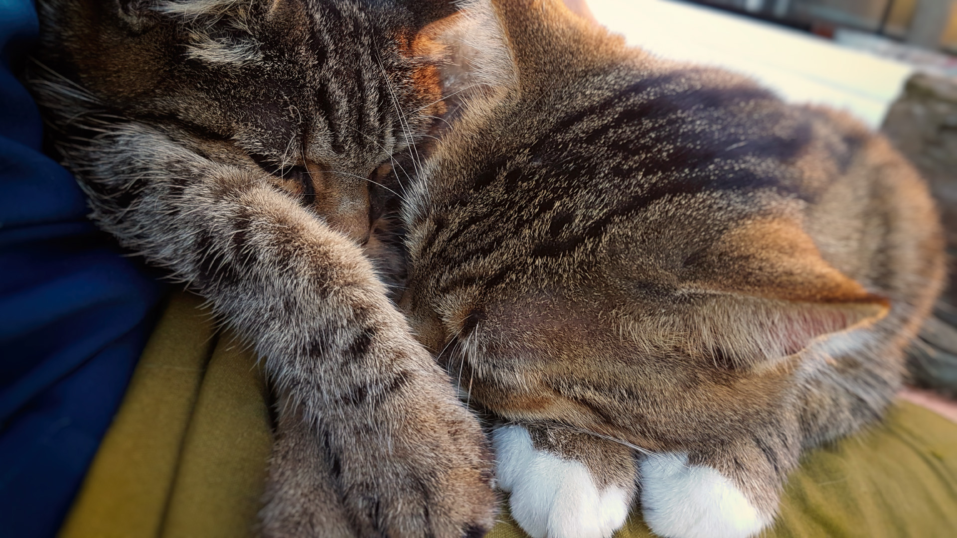 20161029_172915.jpg