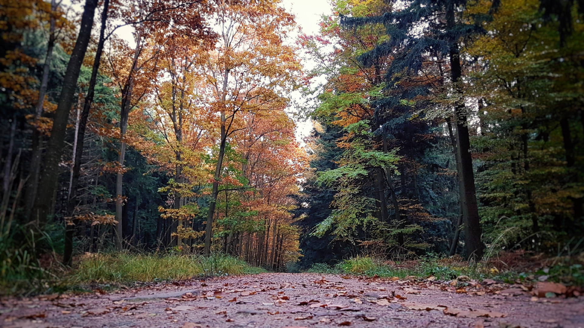 20161101_162427.jpg