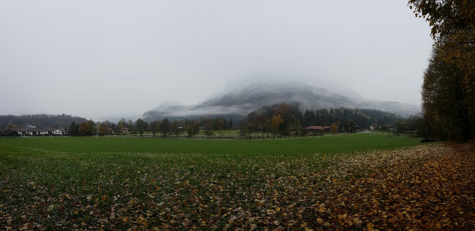 20161106_145603-1600x778.jpg