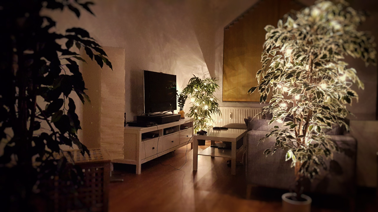 20161127_180935.jpg