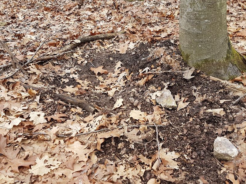 20170207_141229.jpg
