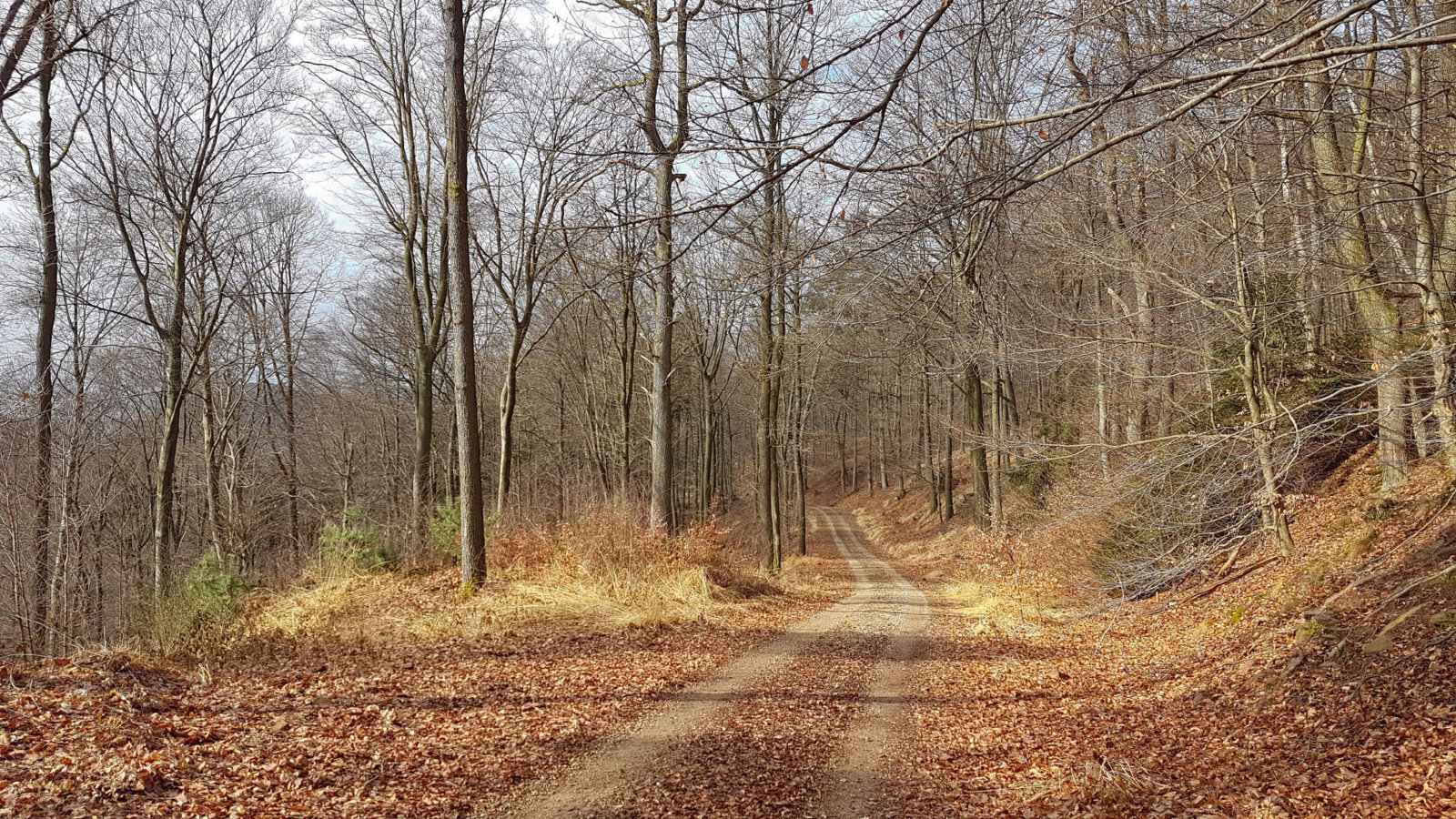 20170218_113927.jpg