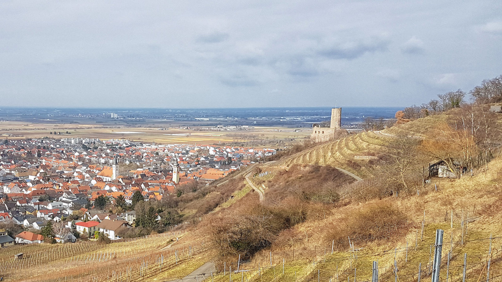 20170218_124217.jpg