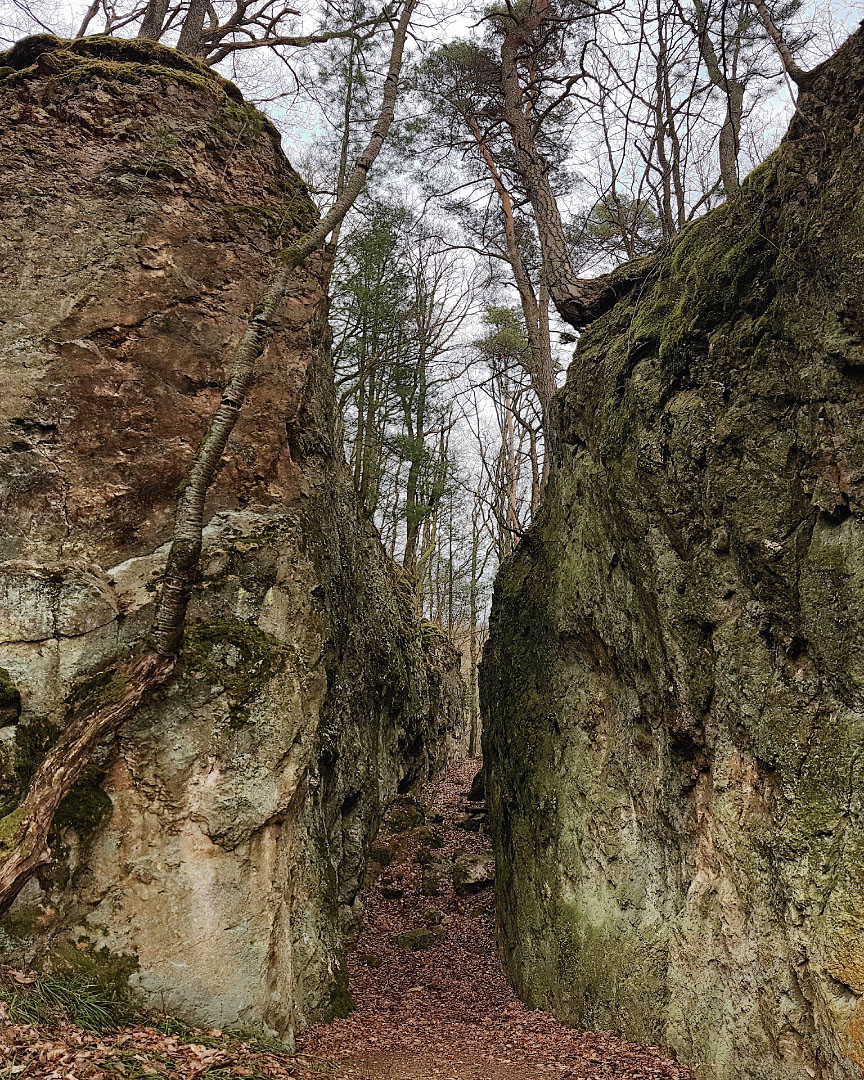 20170218_150514.jpg