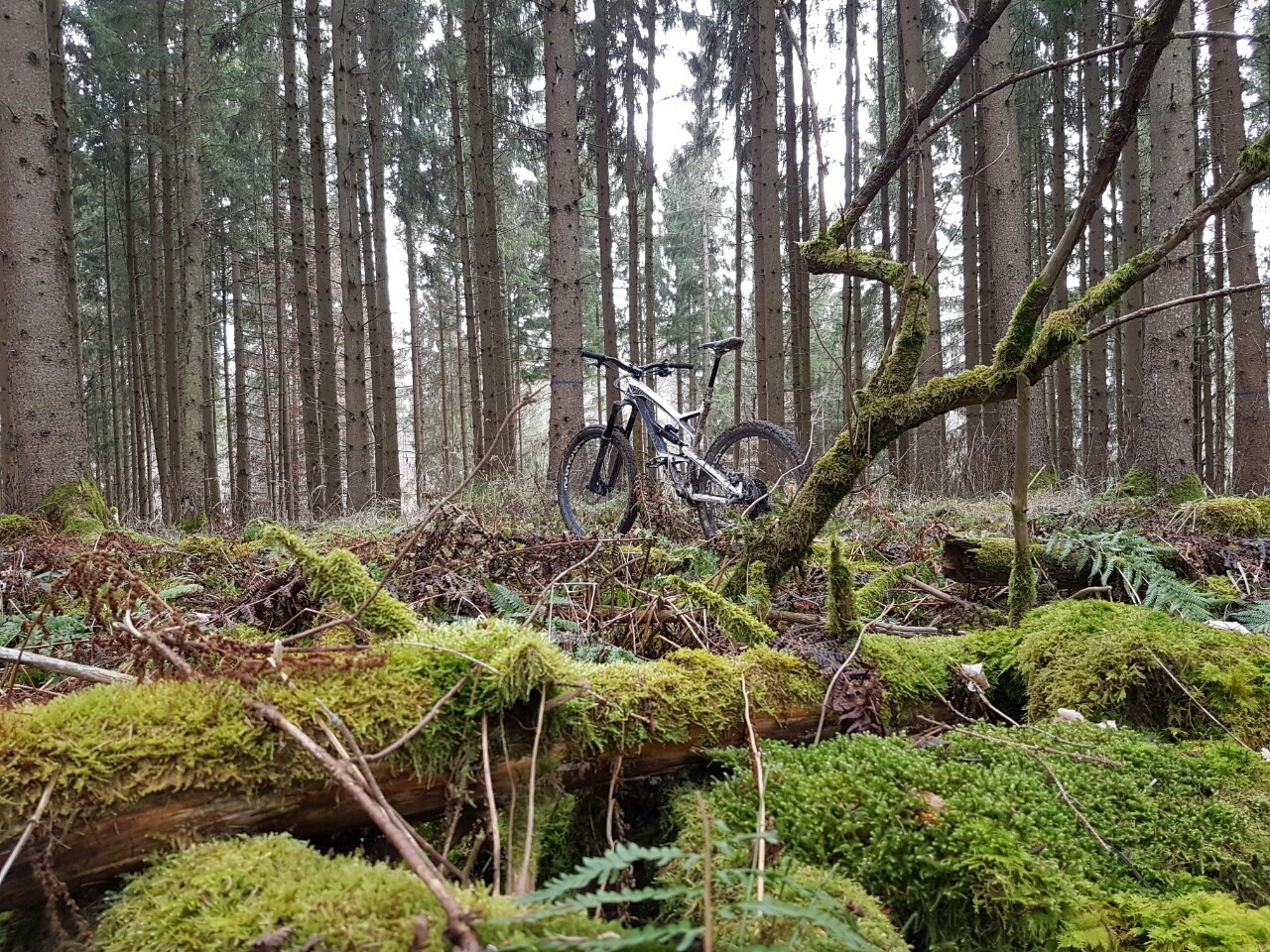 20170219_132028~01.jpg