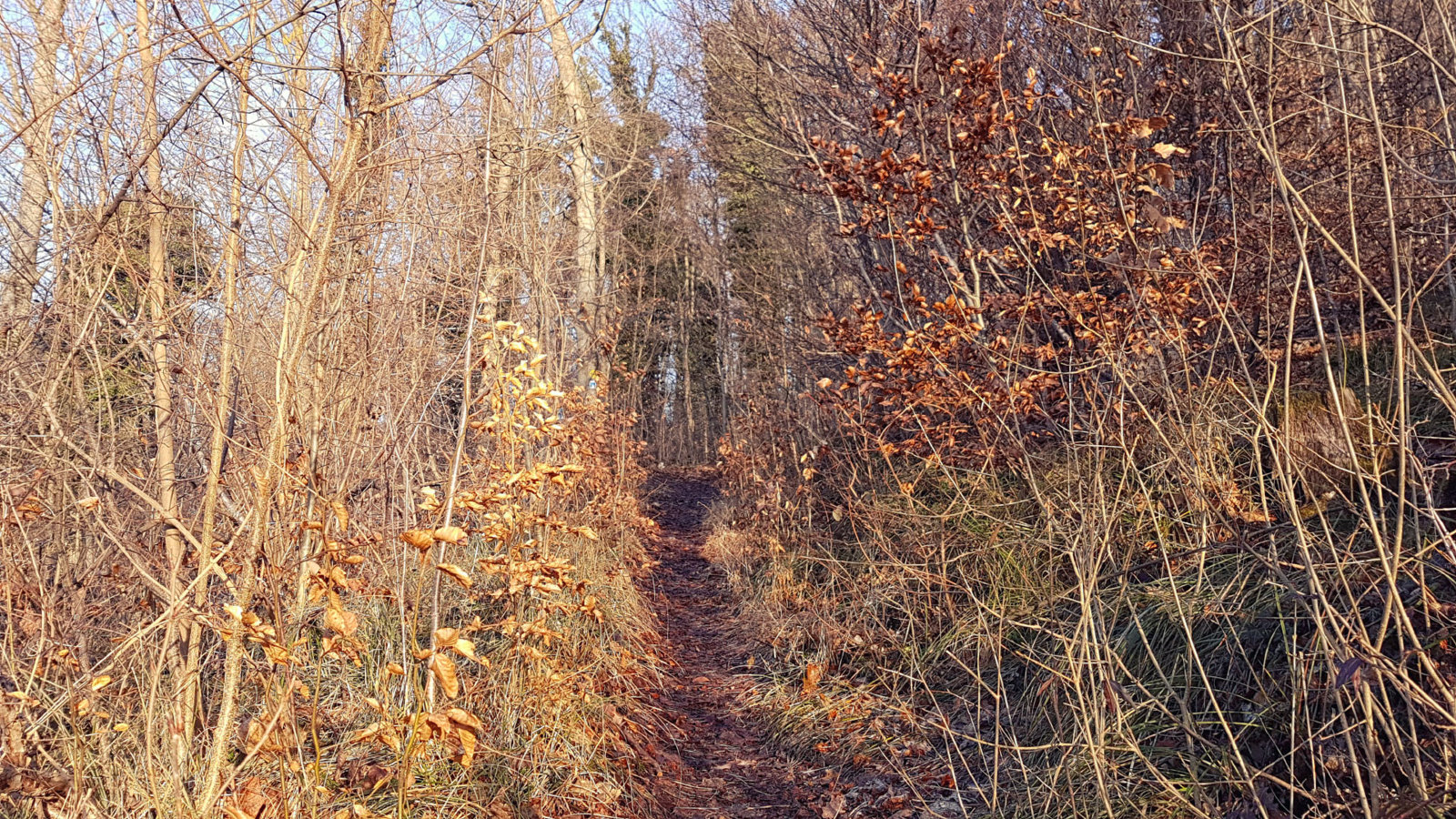 20170225_085222.jpg