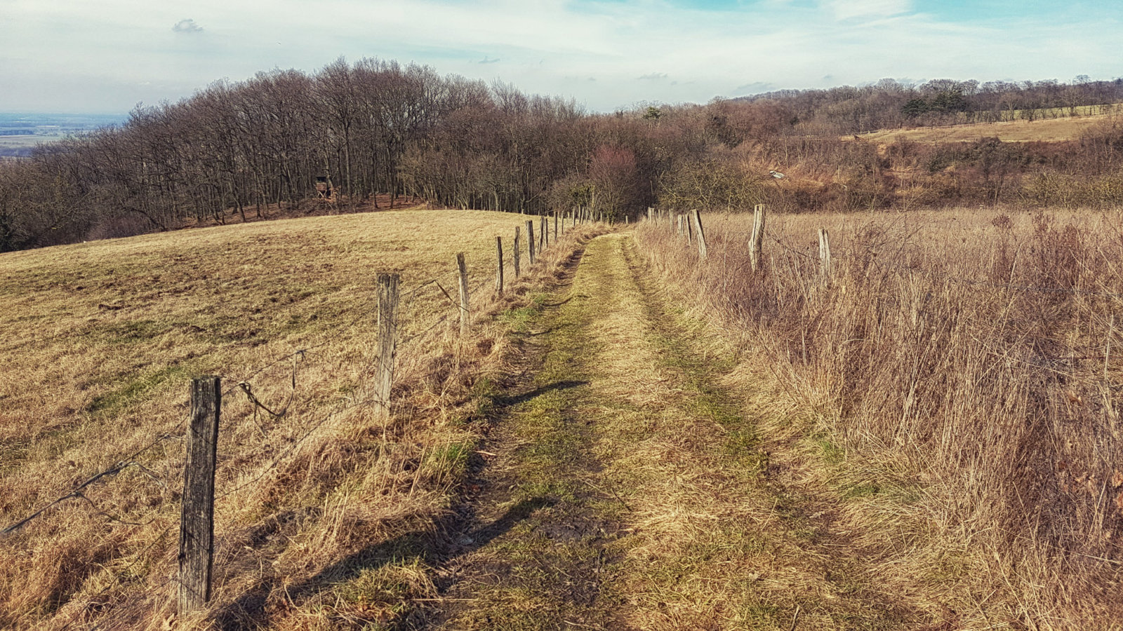 20170225_132209.jpg