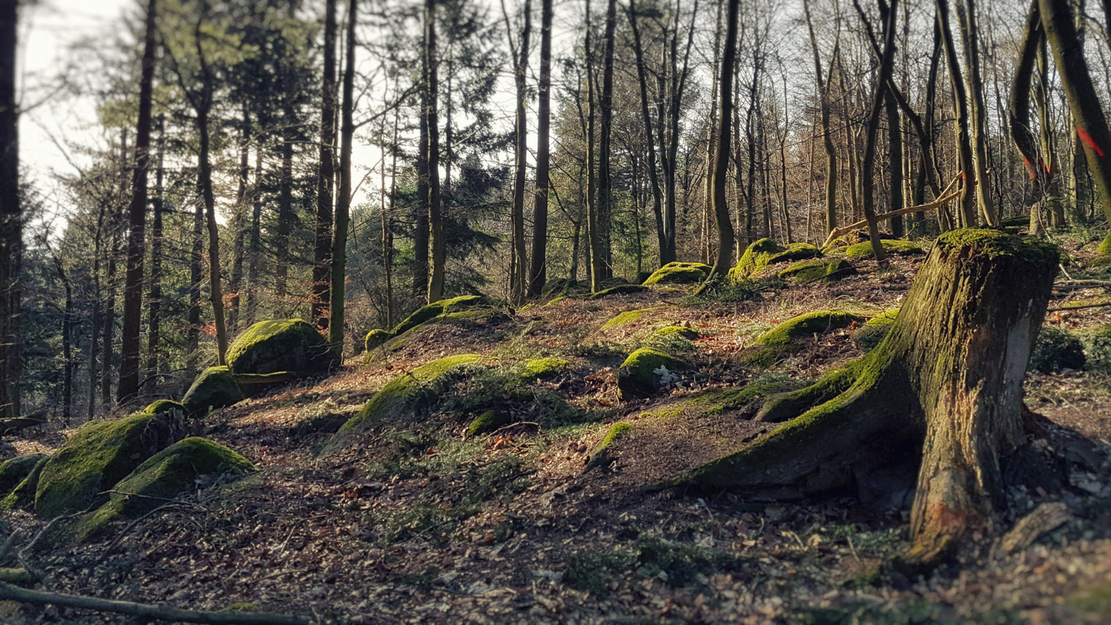 20170225_151715.jpg
