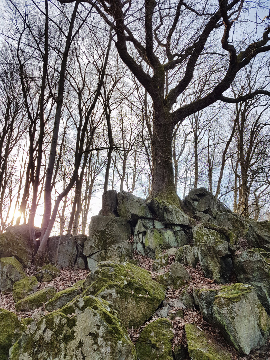 20170304_081554.jpg