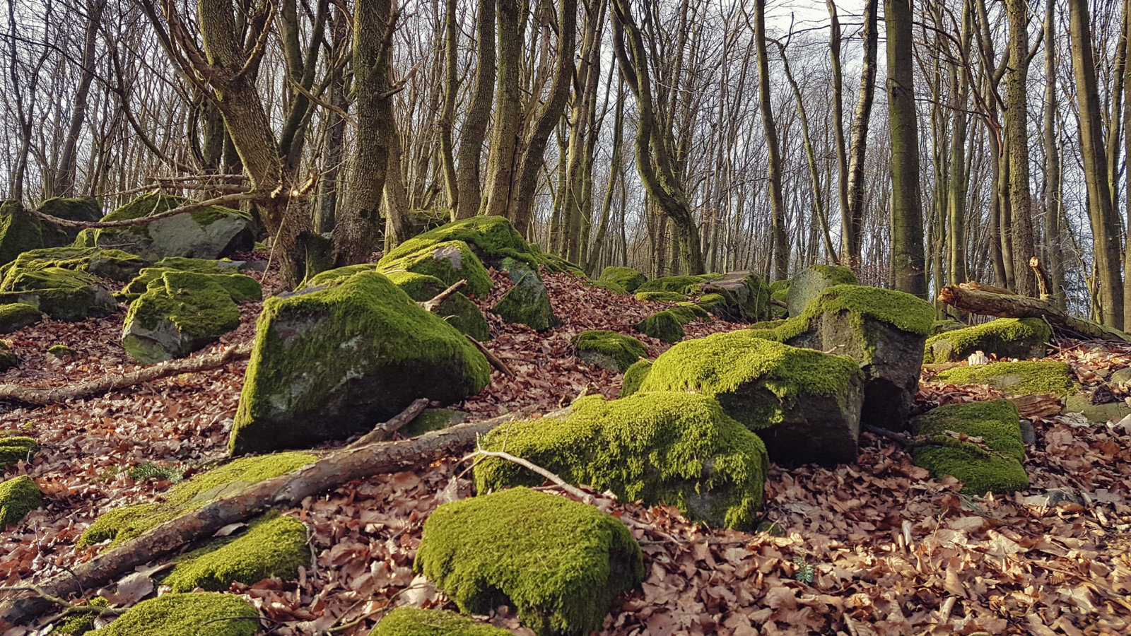 20170304_084043.jpg