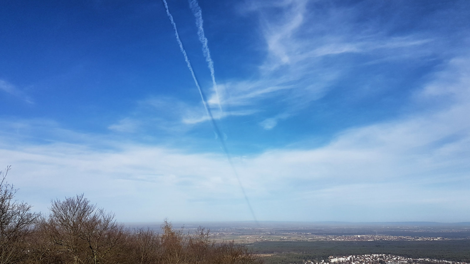 20170304_100339.jpg