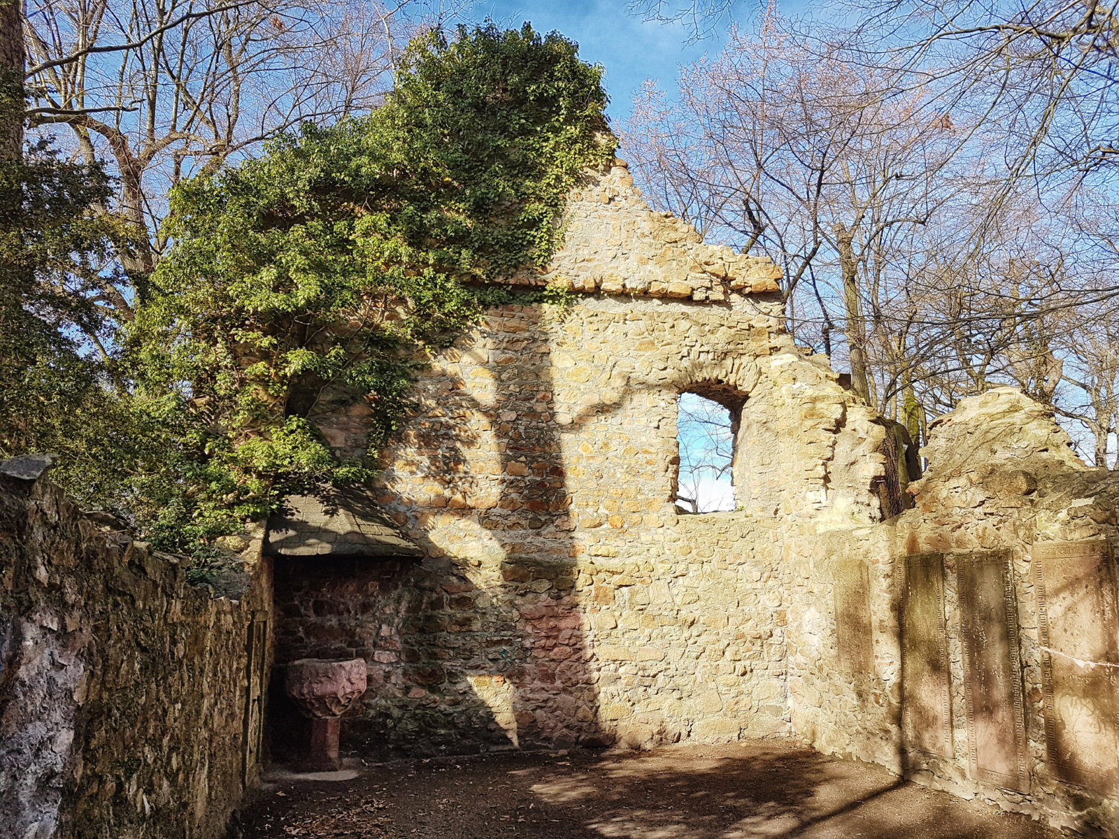 20170304_103900.jpg