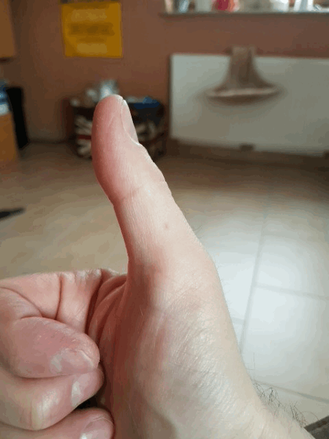 20170304_133015.gif