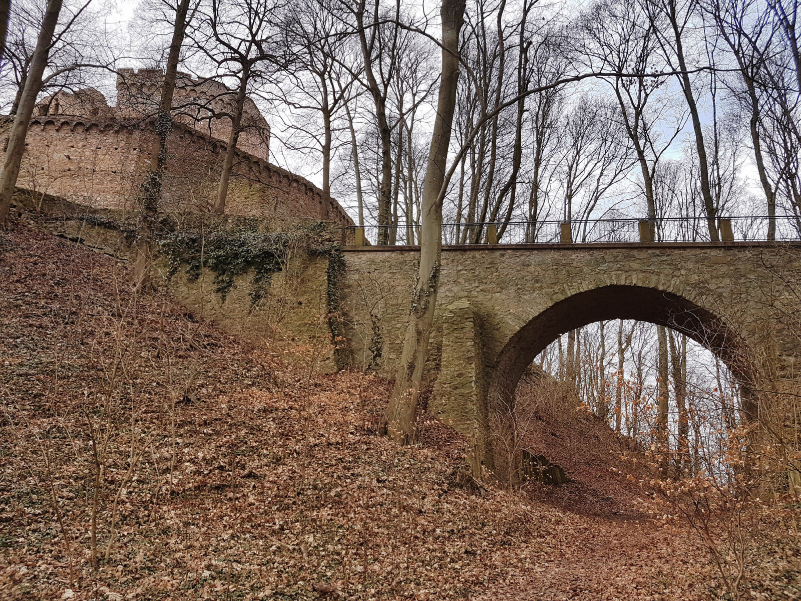 20170304_134549.jpg