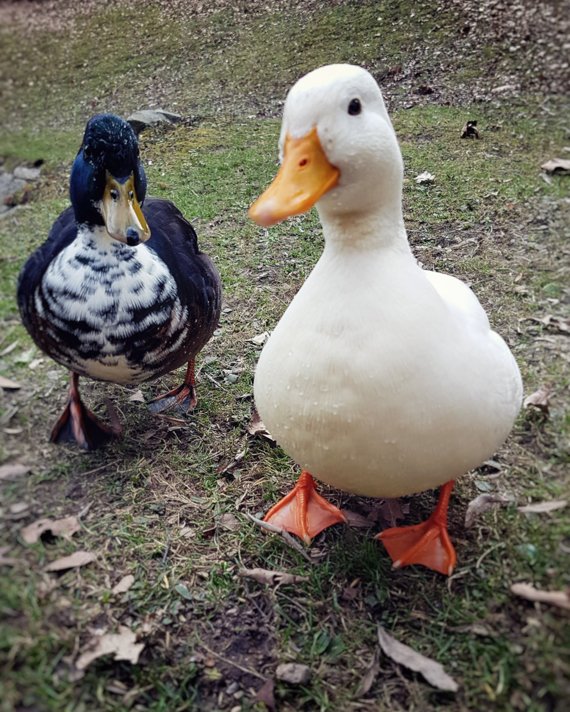20170304_142148.jpg