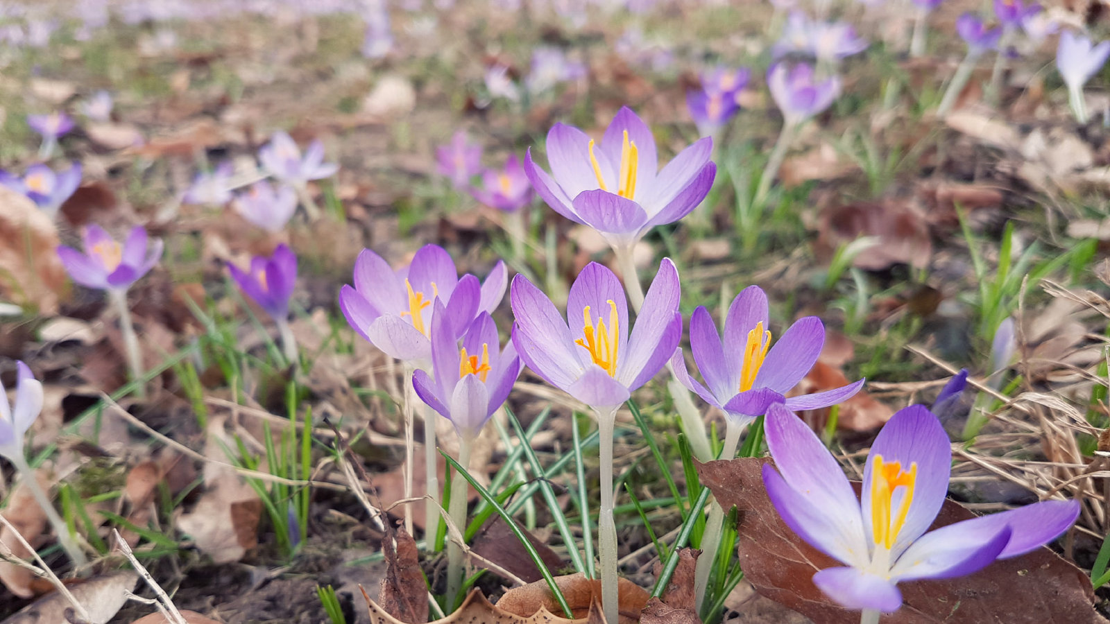 20170304_142913.jpg