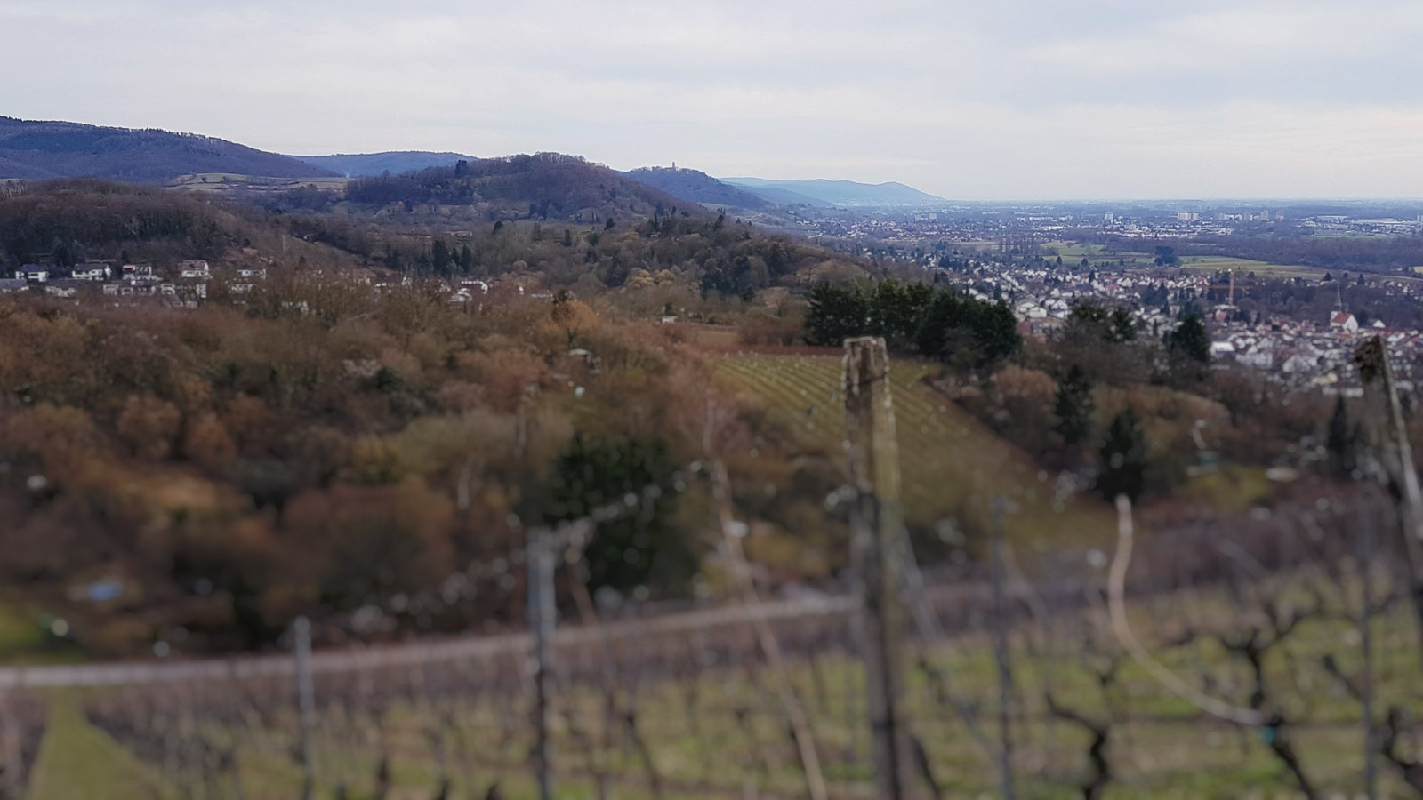 20170304_145917.jpg