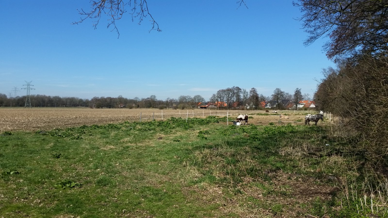 20170327_132625.jpg