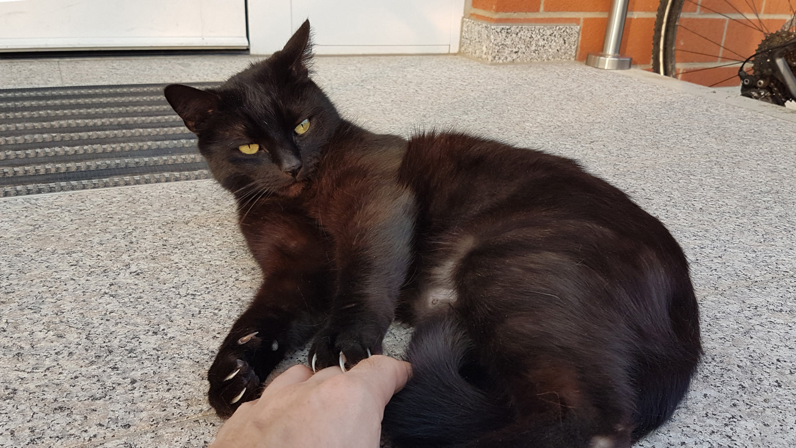 20170402_184315.jpg