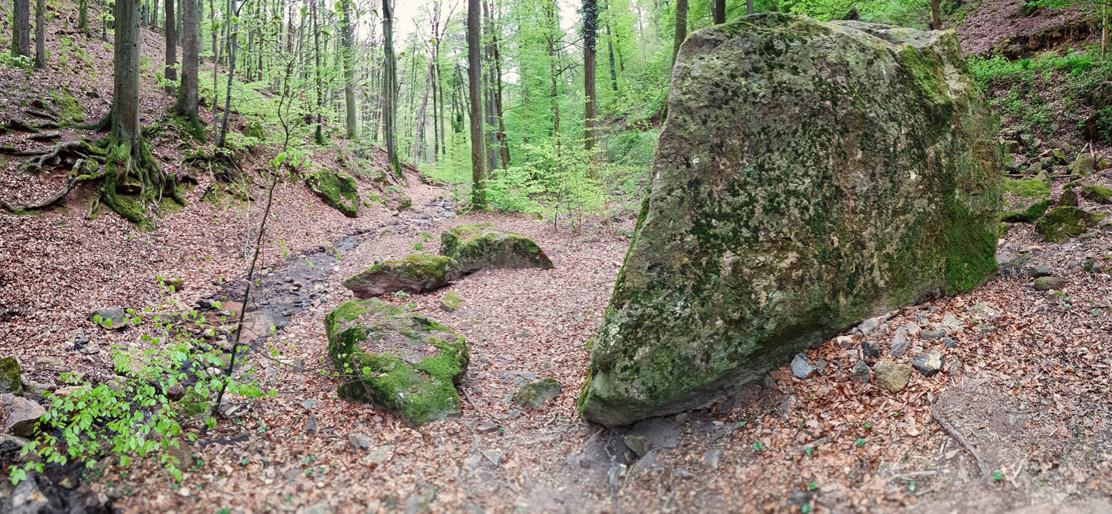 20170416_160721.jpg