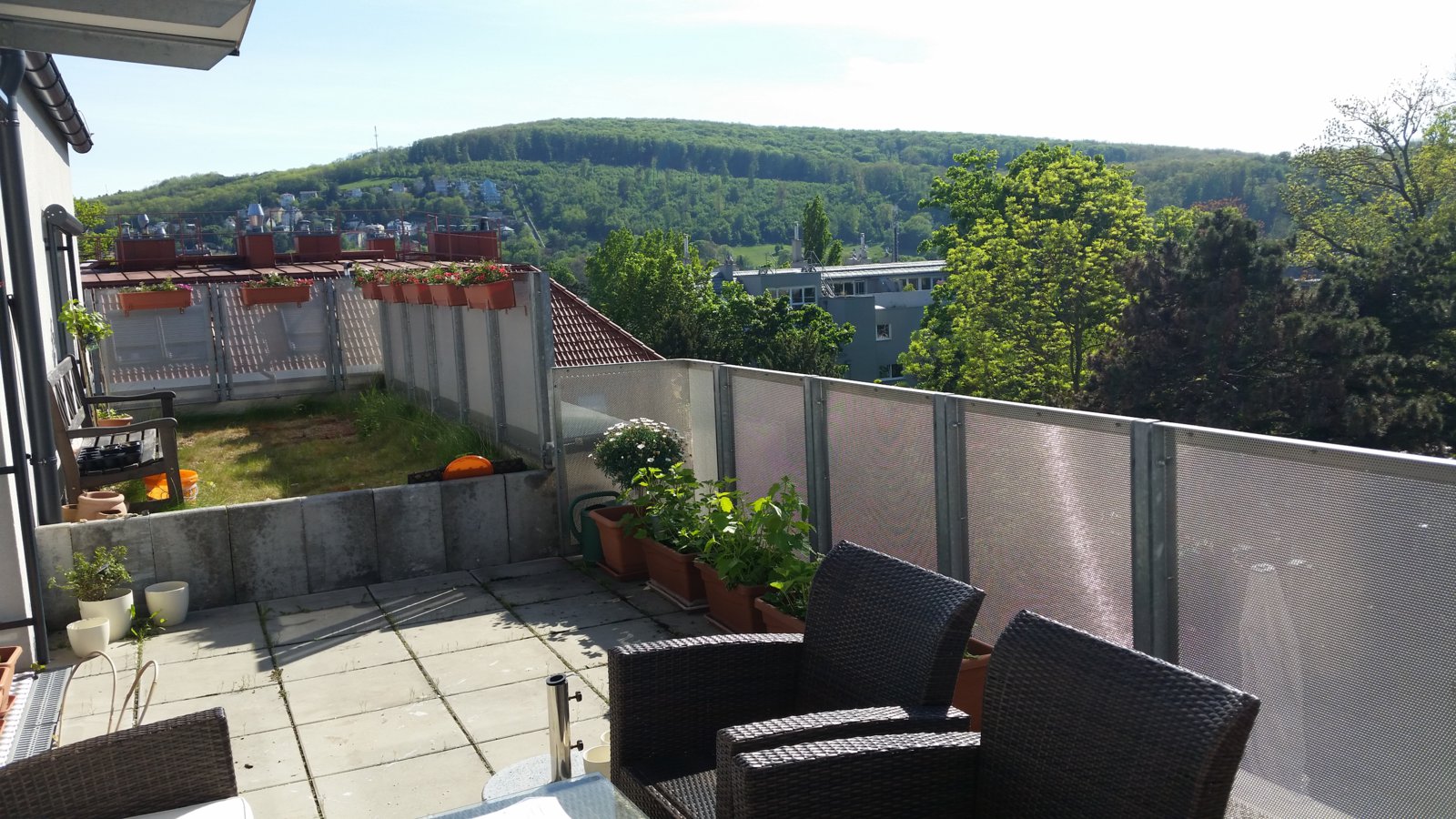 20170511_161421.jpg