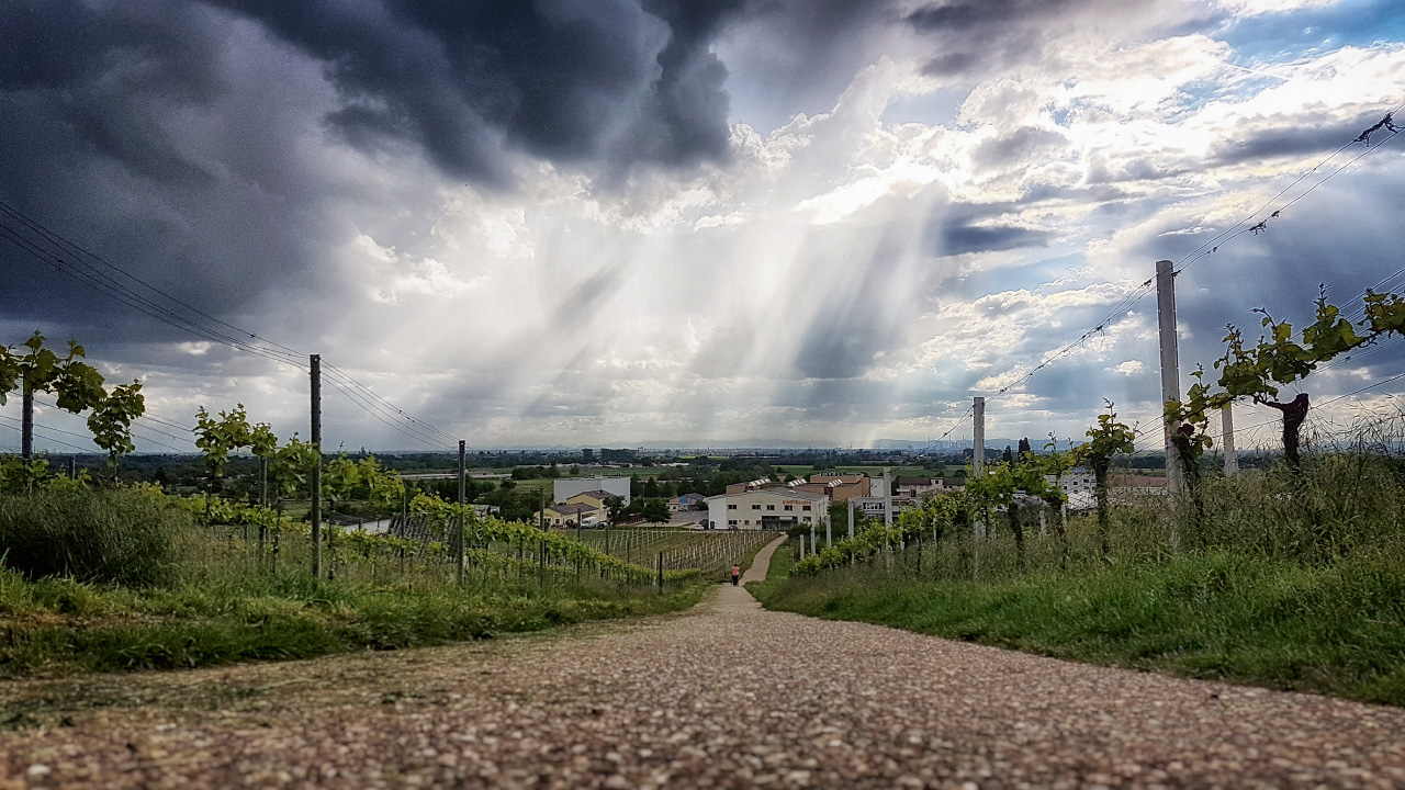 20170513_175045.jpg
