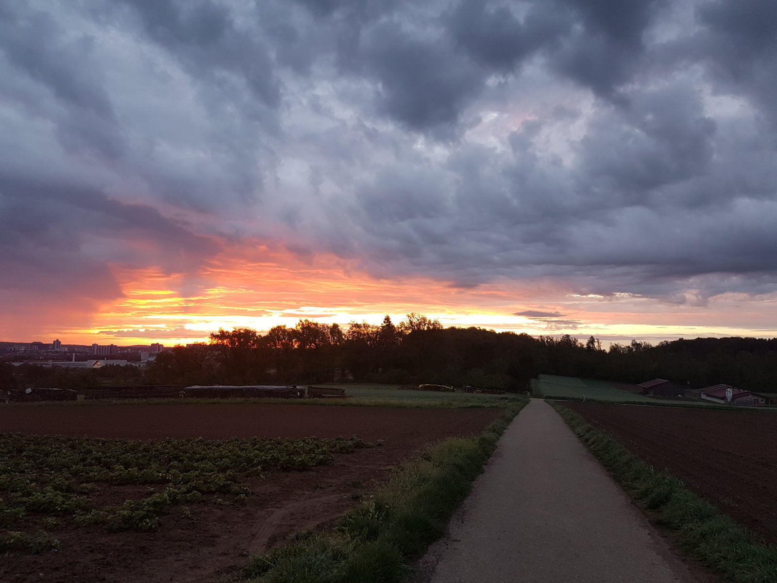 20170515_054148.jpg