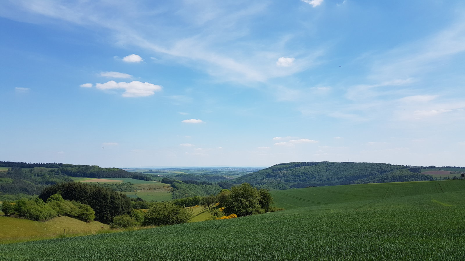 20170522_144810.jpg