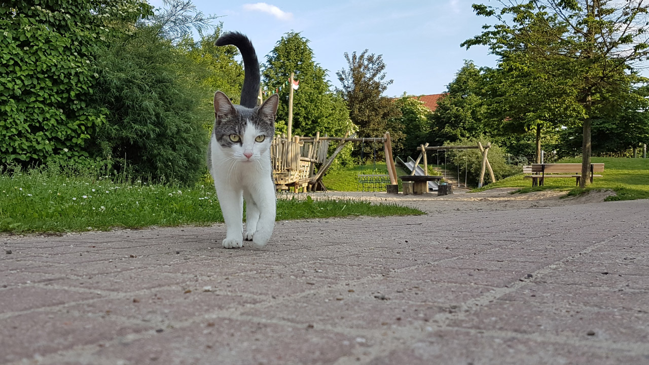 20170522_190751.jpg