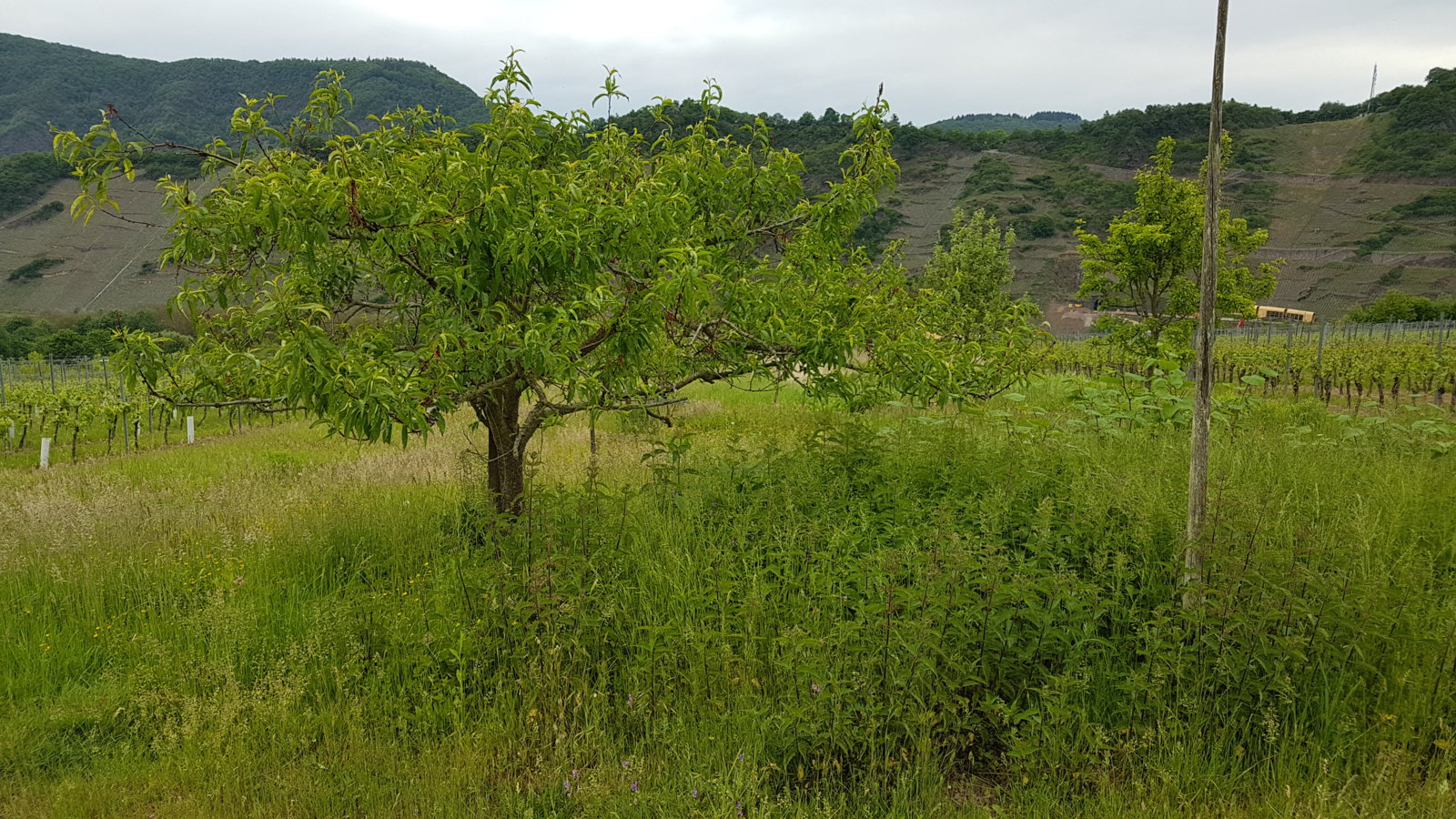 20170524_142045.jpg